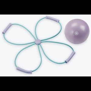 Gaiam Ultimate Core Toning Kit